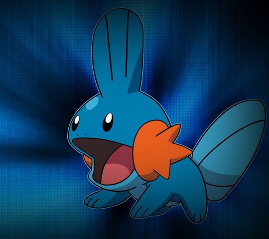 Mudkip Wallpapers 60 images