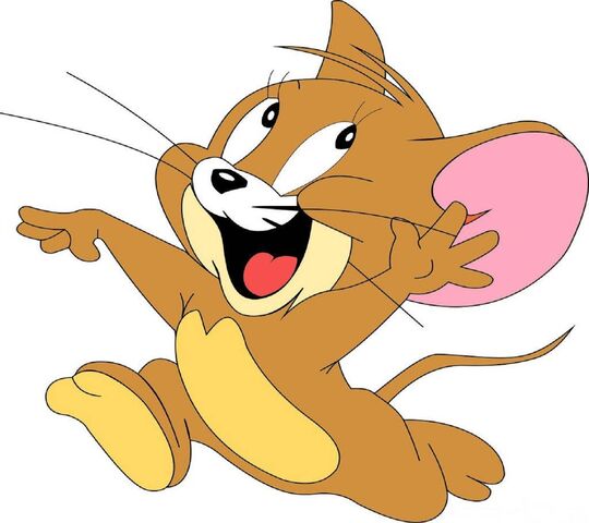 50 Ảnh Tom Và Jerry Hài Hước Vui Nhộn Đẹp Nhất  TH Điện Biên Đông