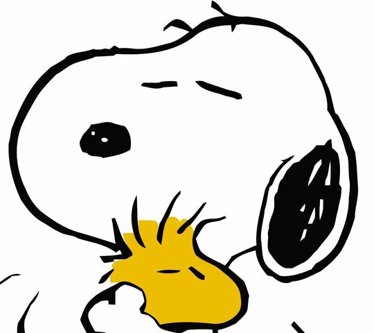 Snoopy and Woodstock Wallpapers  Top Free Snoopy and Woodstock Backgrounds   WallpaperAccess