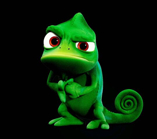 Pascal Fondo De Pantalla Descargue A Su M vil Desde PHONEKY