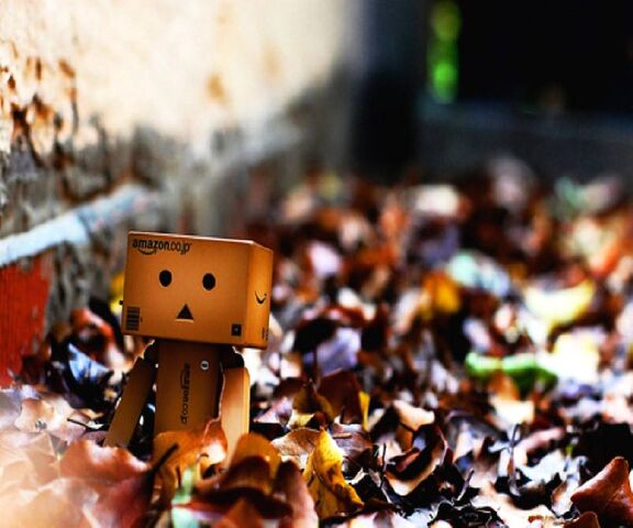 Danbo In Leaves Wallpaper - Download to your mobile from PHONEKY