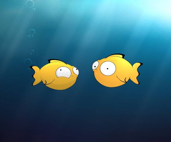 Fish Wallpaper - Download to your mobile from PHONEKY