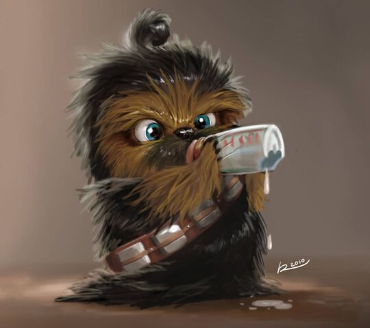 Bébé chewbacca