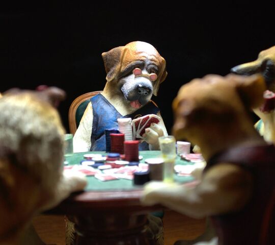 Dogs Playing Poker Wallpaper 62 images