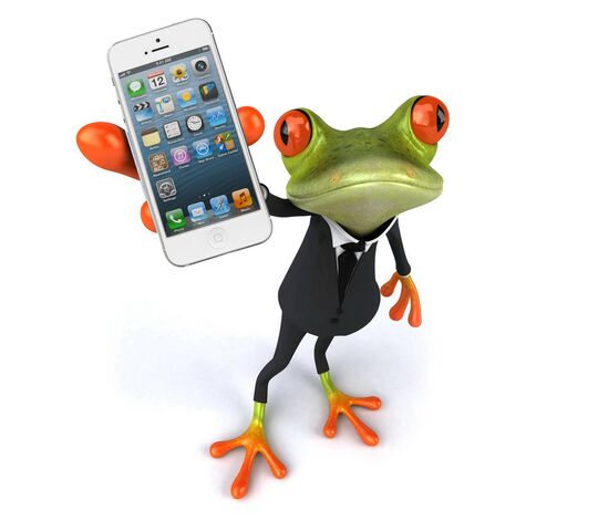Iphone Frog Wallpaper - Download to your mobile from PHONEKY