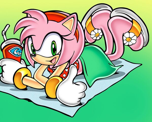 Amy Rose Sonic CD Sonic Mega Collection Sonic the Hedgehog Tails Amy Rose  sonic The Hedgehog vertebrate computer Wallpaper png  PNGWing