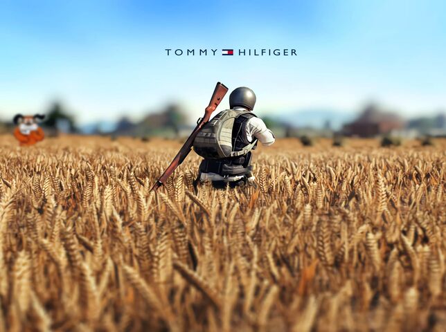 Tommy Hilfiger Wallpaper - Download to your mobile from PHONEKY