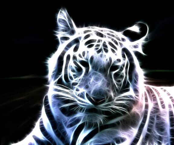 Tigar Wallpaper - Download to your mobile from PHONEKY