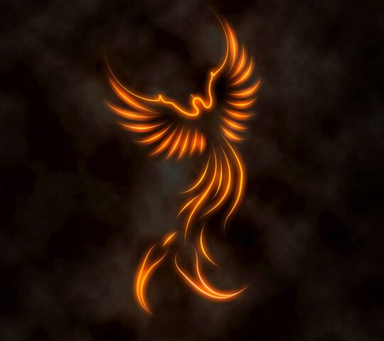 Embers of Rebirth: The Phoenix Rises 🔥🦅