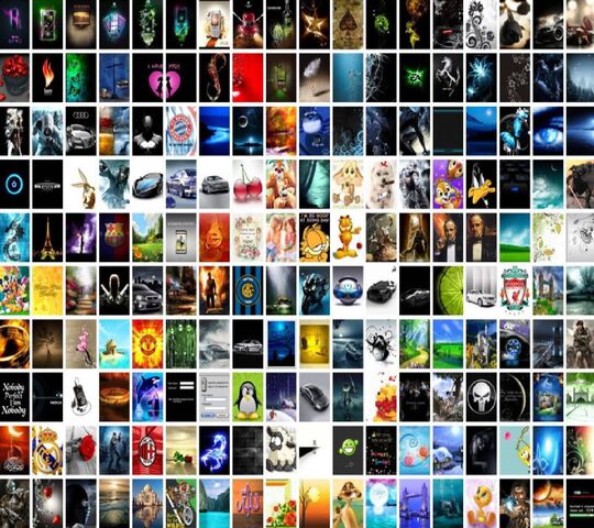 Anything and Everyt Wallpaper - Download to your mobile from PHONEKY