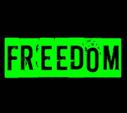 Freedom Wallpaper - Download to your mobile from PHONEKY