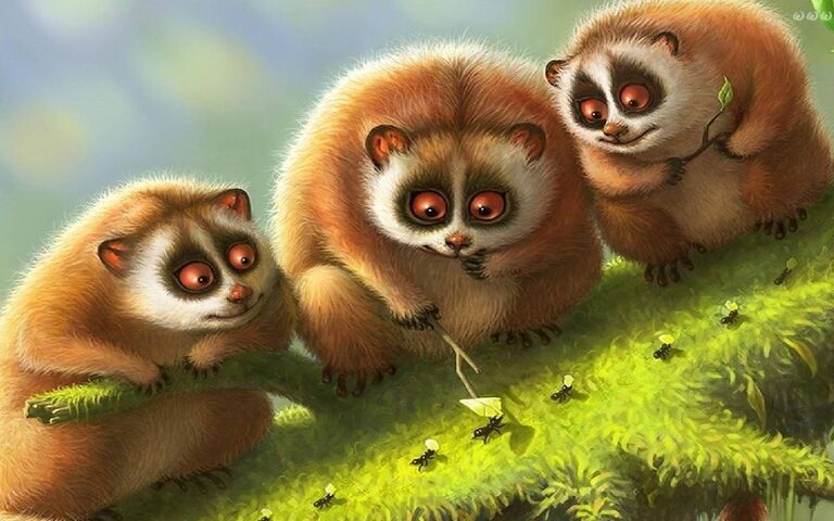 Pets Wallpaper - Download to your mobile from PHONEKY