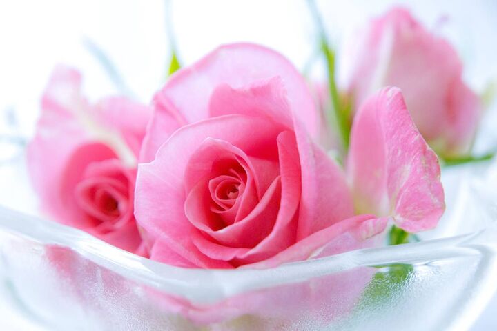 Romantic Pink Wallpaper - Download to your mobile from PHONEKY