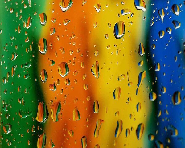 Nature's Tiny Jewels: Dew Drops on Display 💧 Wallpaper - Download to ...