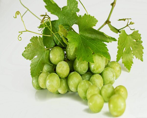 Grapes Wallpaper - Download to your mobile from PHONEKY