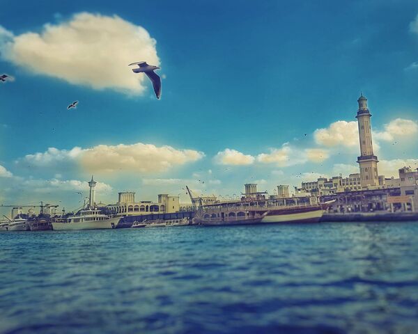 Bird Wallpaper - Download to your mobile from PHONEKY