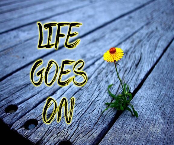Life Goes On Wallpaper Download To Your Mobile From Phoneky