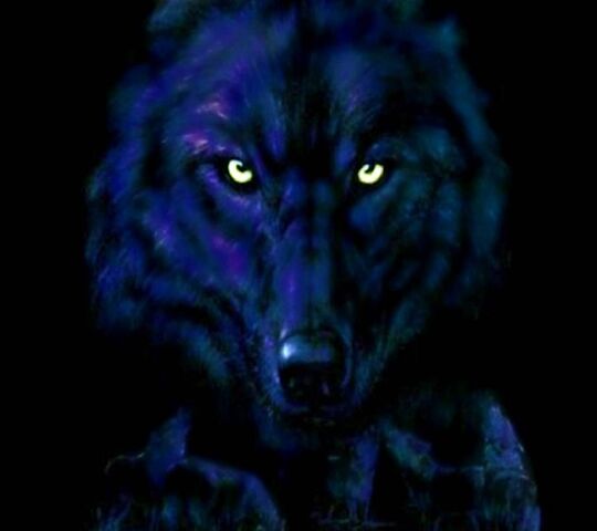 Mystic Shadows: The Enigmatic Wolve 🌌🐺 Wallpaper - Download to your ...