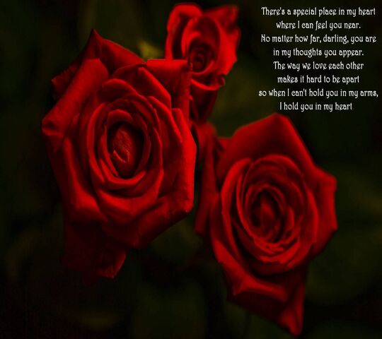 red rose wallpaper with love quotes