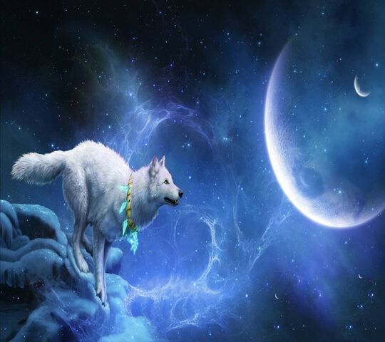 Awesome Wolf Wallpaper - Download to your mobile from PHONEKY