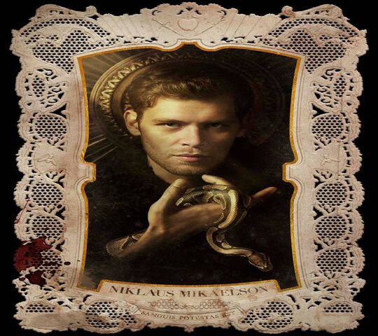 Klaus Tvd Wallpaper - Download to your mobile from PHONEKY