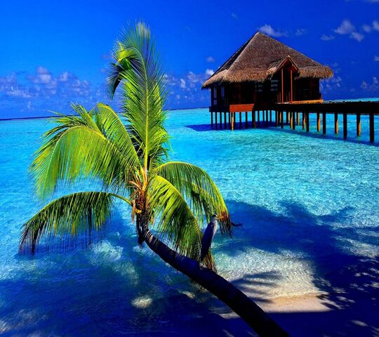 Paradise Wallpaper - Download to your mobile from PHONEKY