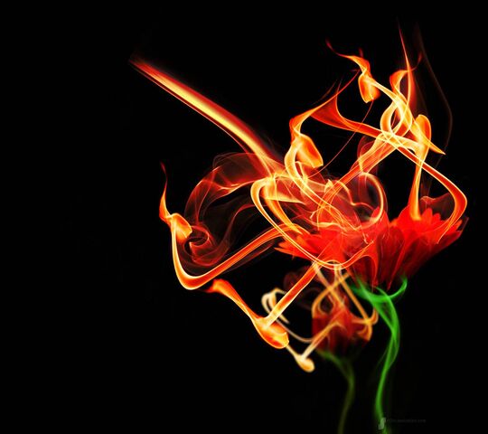 Burning Flower Wallpaper - Download to your mobile from PHONEKY