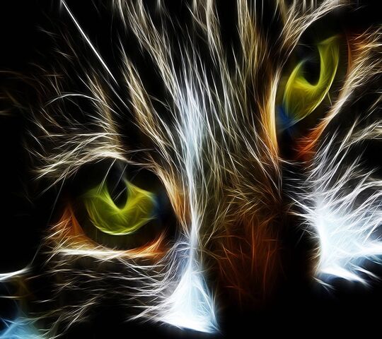 Abstract Cat Wallpaper - Download to your mobile from PHONEKY