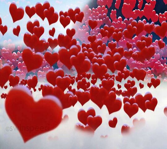 Amor Fondo De Pantalla Descargue A Su M vil Desde PHONEKY