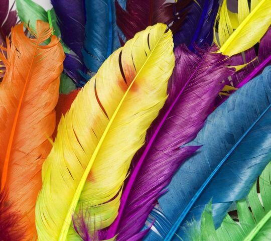 Rainbow Feathers Wallpaper - Download to your mobile from PHONEKY