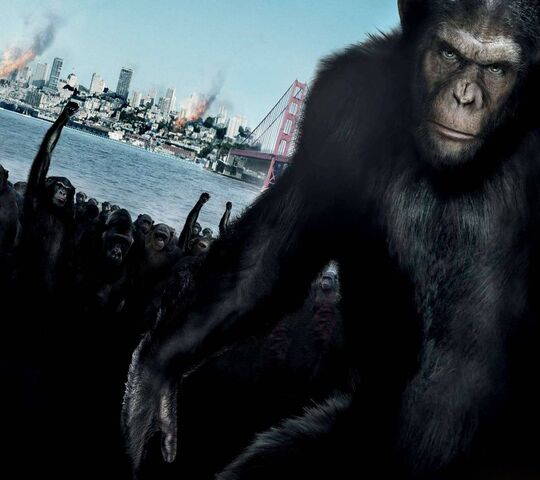 Planet of the Apes  Wallpaper  HD Wallpapers  WallHere