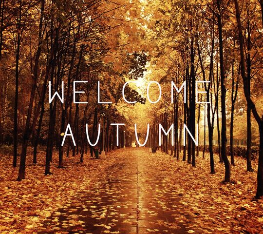 Welcome Autumn Wallpaper - Download to your mobile from PHONEKY