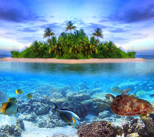 Paradis tropical