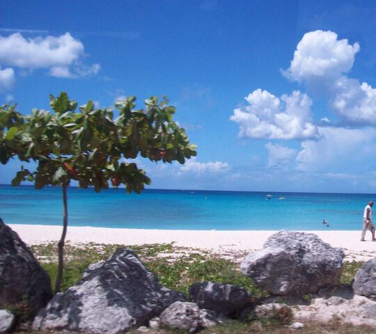 Barbados Beach Wallpaper - Download to your mobile from PHONEKY