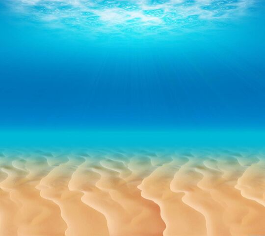 Biển: Hãy thưởng thức hình ảnh về biển để thấy sự tuyệt vời của thiên nhiên. Bầu trời xanh thẳm, sóng vỗ trên bờ cát, tất cả những điều đó sẽ khiến bạn cảm thấy hòa mình vào một thế giới đầy màu sắc và tình tứ.