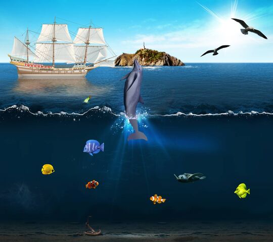Hd sous l'eau