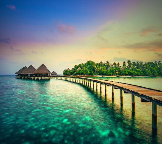 Tropical Paradise Wallpaper - Download to your mobile from PHONEKY