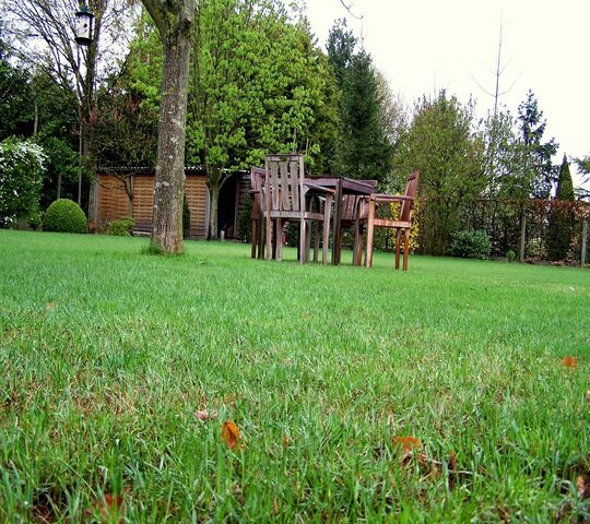 jardin-au-printemps-fond-d-cran-t-l-charger-sur-votre-mobile-depuis