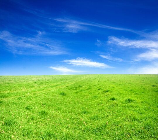 Grass and Sky Wallpaper - Download to your mobile from PHONEKY