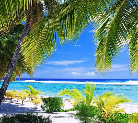 Paradise Wallpaper - Download to your mobile from PHONEKY