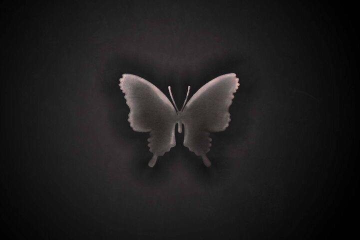 Black Butterfly Wallpaper - Download to your mobile from PHONEKY