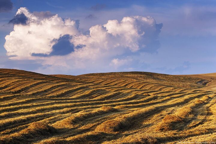 Meadow Wallpaper - Download to your mobile from PHONEKY