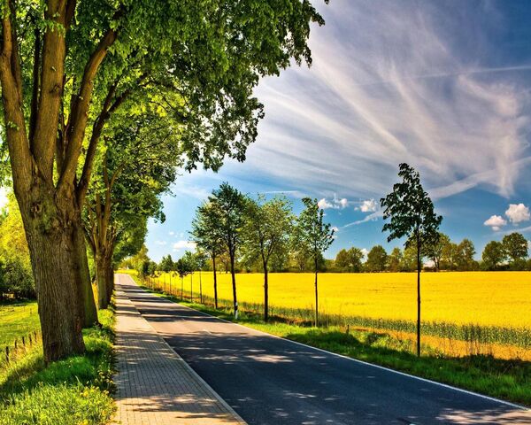 Sunny Road Wallpaper - Download to your mobile from PHONEKY