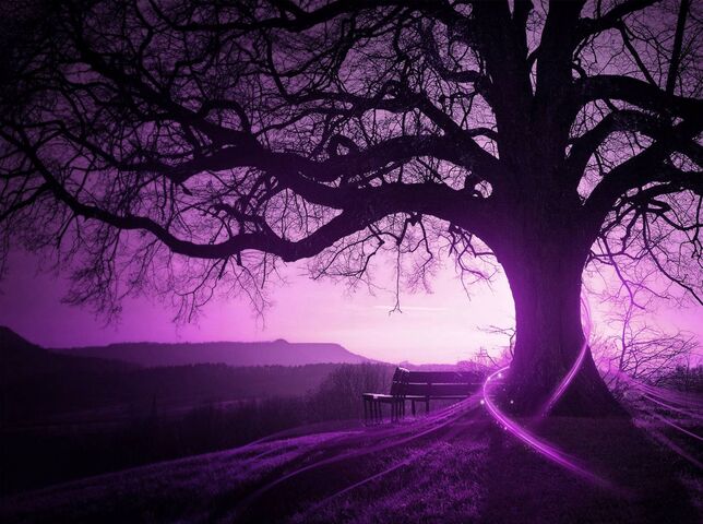Purple Tree Wallpaper - Download to your mobile from PHONEKY