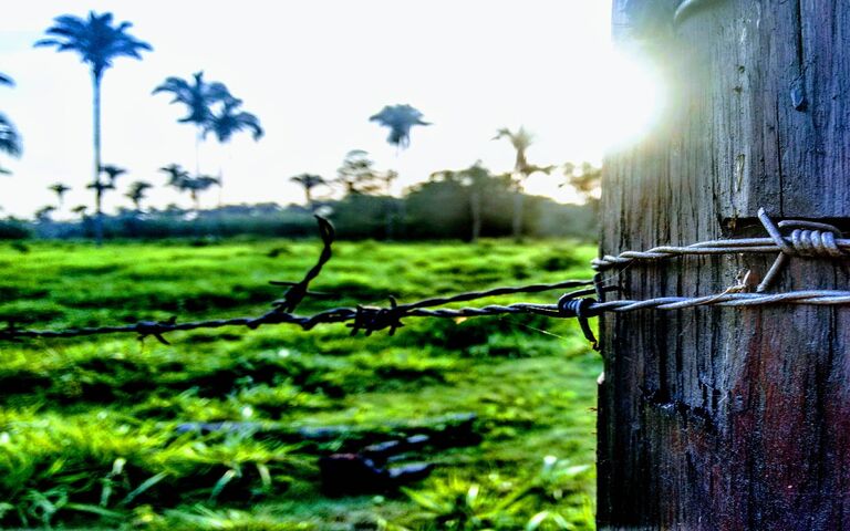 Fence With Sunset Wallpaper - Download to your mobile from PHONEKY