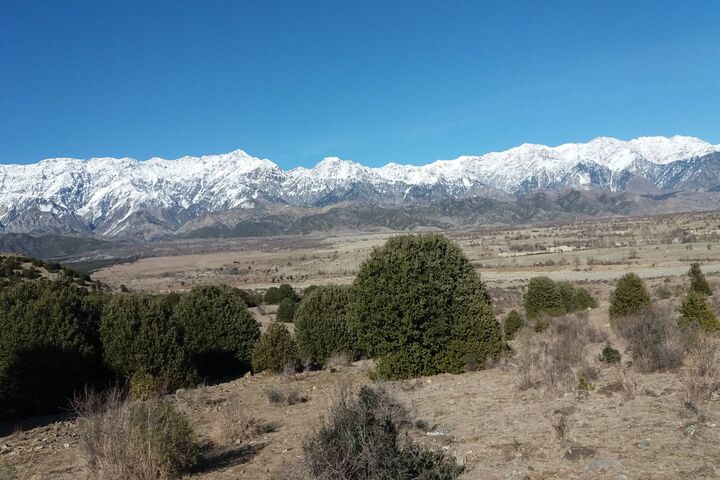 Parachinar Pakistan Wallpaper - Download to your mobile from PHONEKY