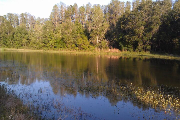 Pond Water Wallpaper - Download to your mobile from PHONEKY