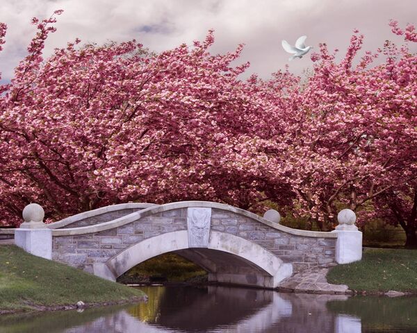 Pink Bridge Wallpaper - Download to your mobile from PHONEKY