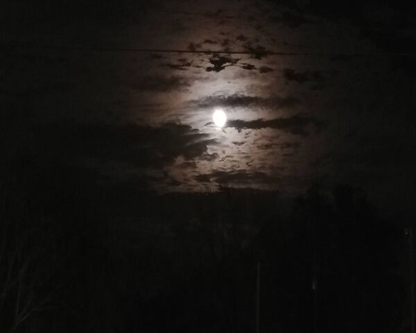 Sunnight: A Moonlit Serenade 🌙 Wallpaper - Download to your mobile from ...