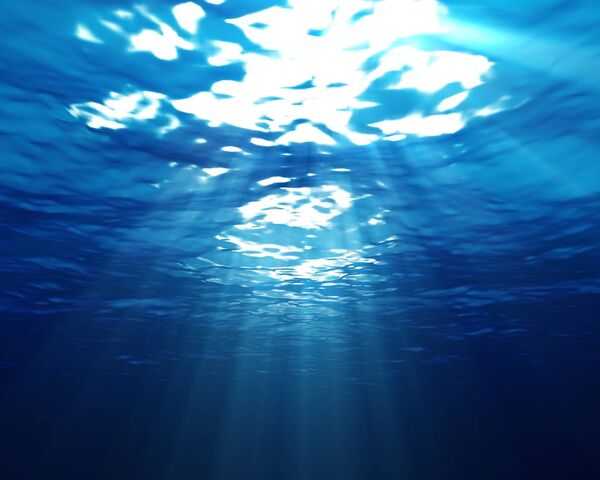 Sous la mer